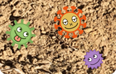 土づくりのイメージ